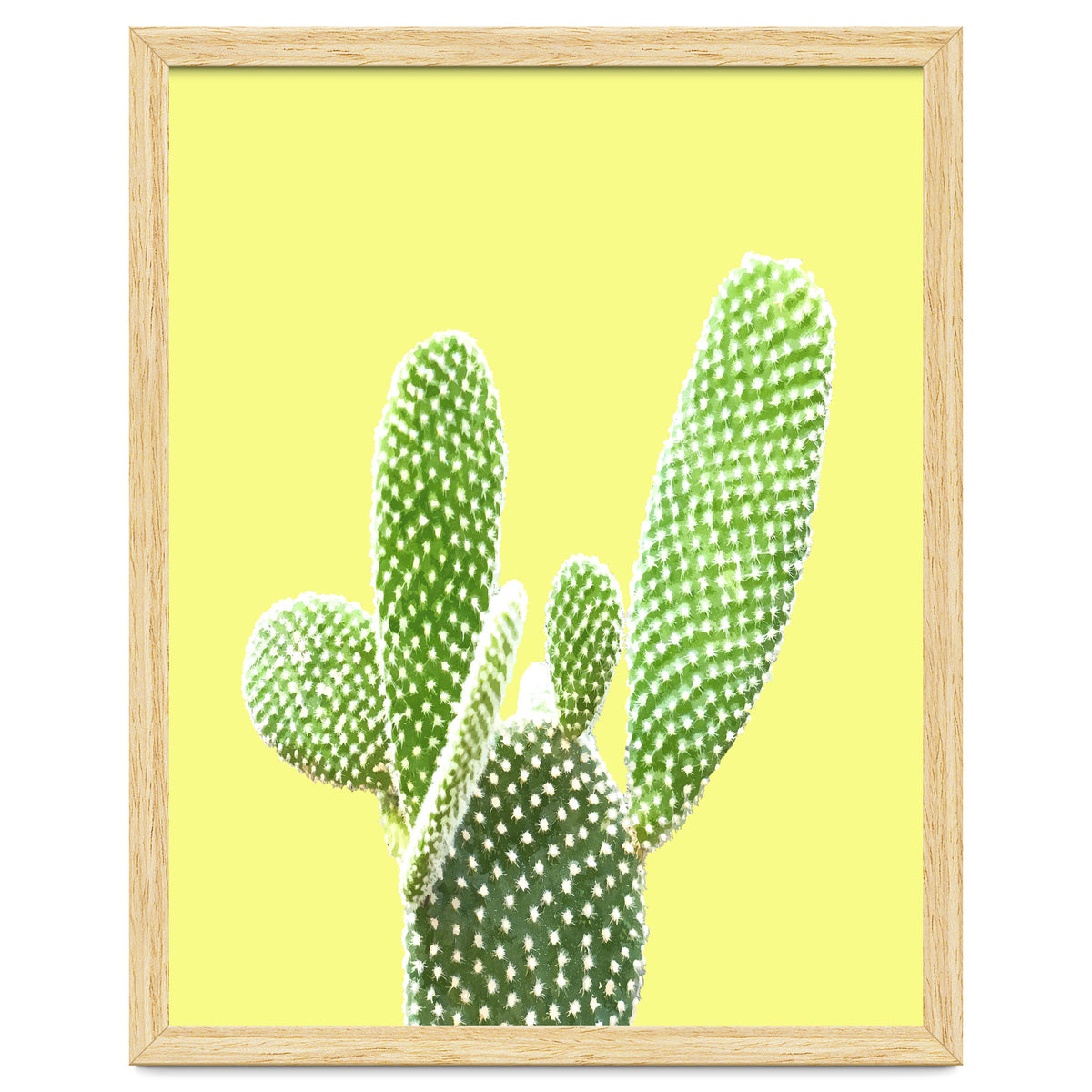 Cactus Yellow Background