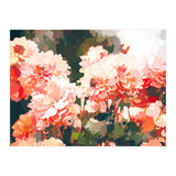 Blush II (Print Only) thumbnail
