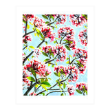 Frangipani (Print Only) thumbnail