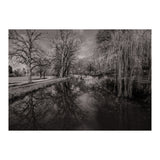 Bute Park, Cardiff  (Print Only) thumbnail