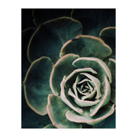 Darkside Of Succulents 4-D (Print Only)