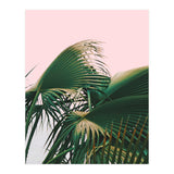 Palm Love (Print Only) thumbnail