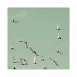 Mint Skies (Print Only) thumbnail