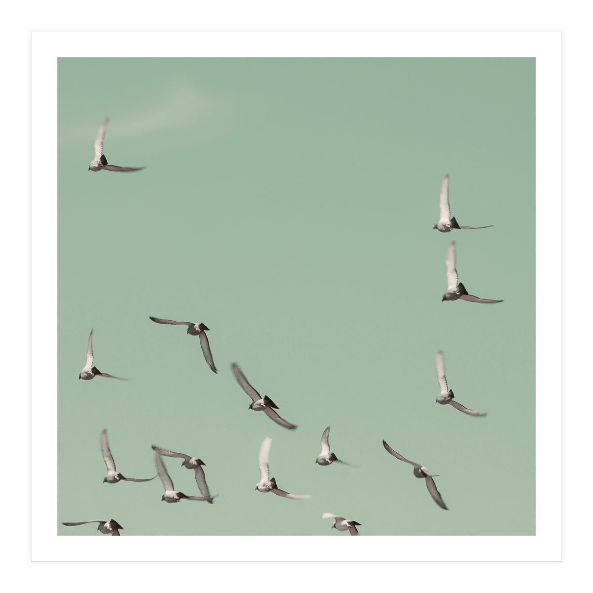 Mint Skies (Print Only)