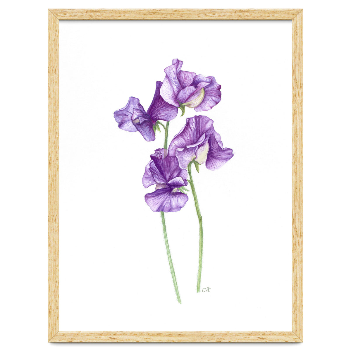 A Purple Posy Of Sweet Peas