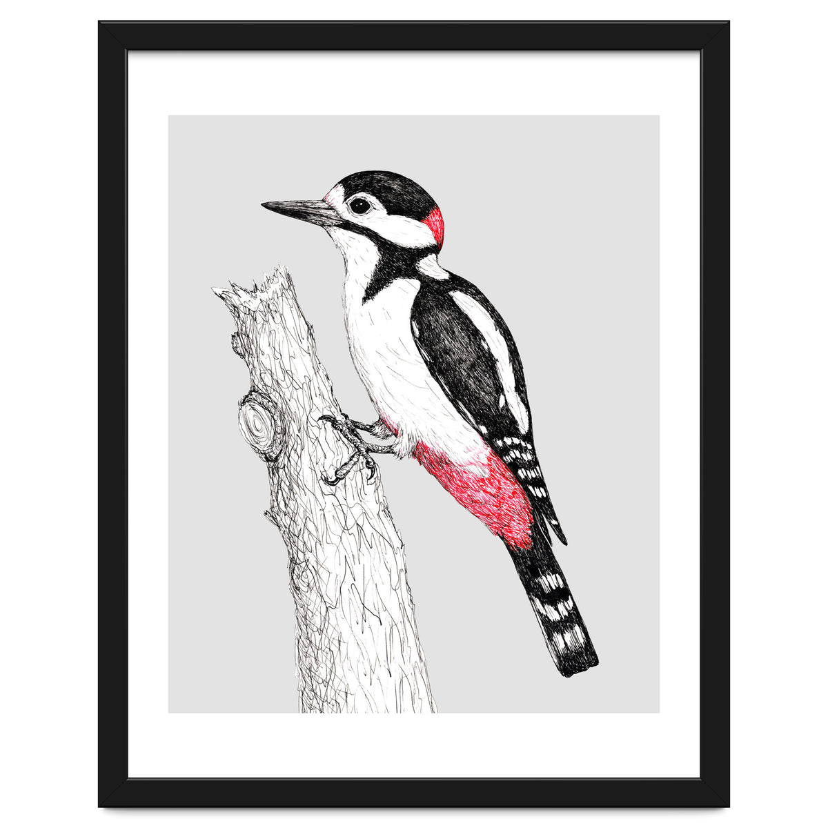 Great spotted woodpecker