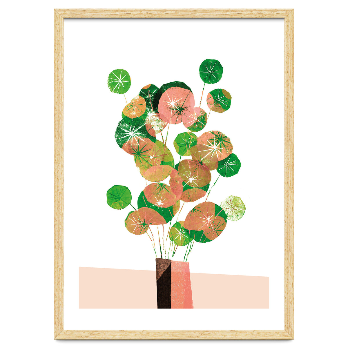 Pilea In Green And Coral