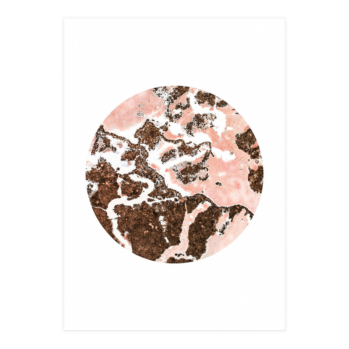 Blush And Bronze (Print Only)