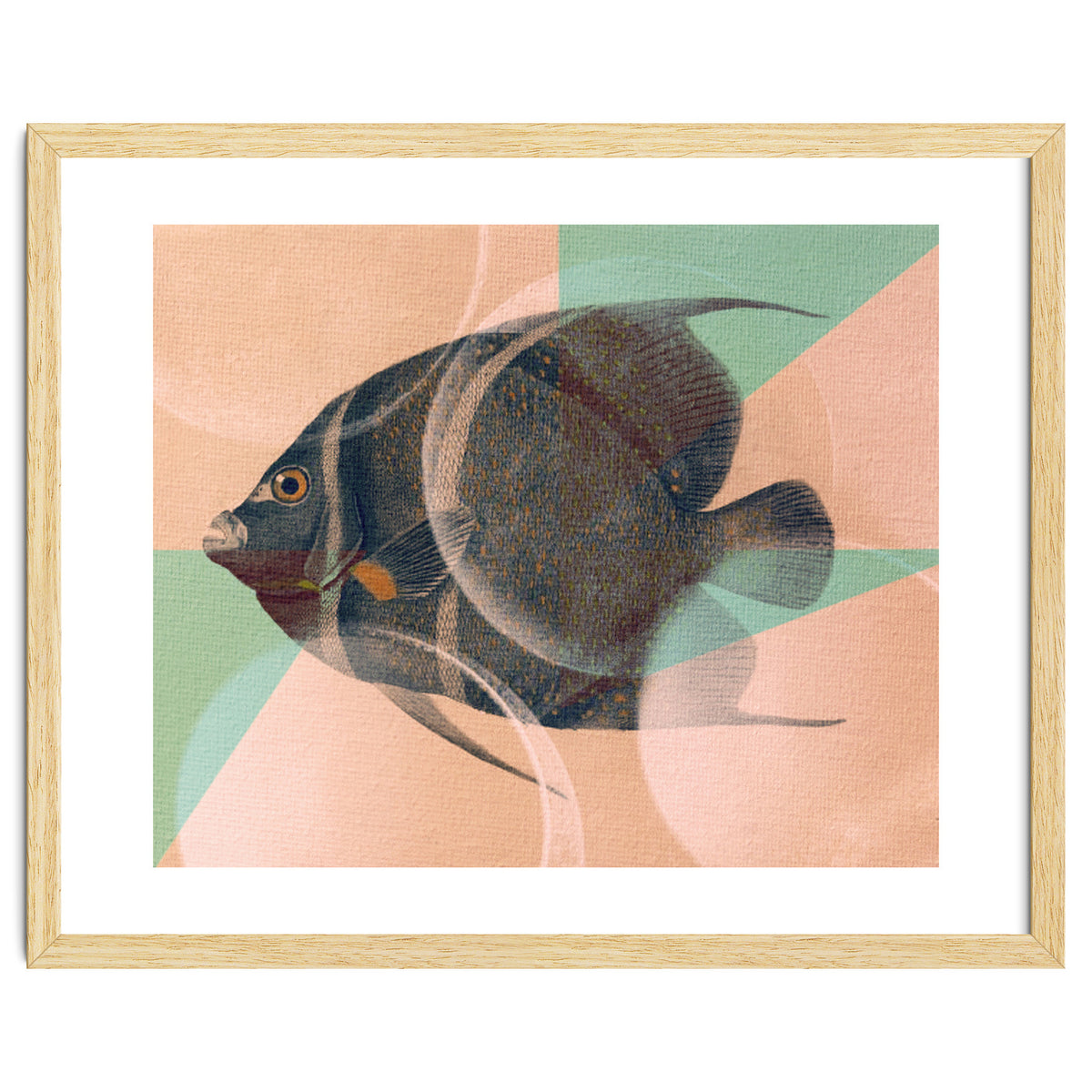 Fish Between Circles 2