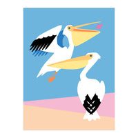 Pastel Pelicans (Print Only)