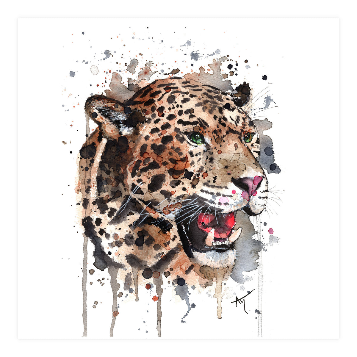 Leopard - Wildlife Collection (Print Only)