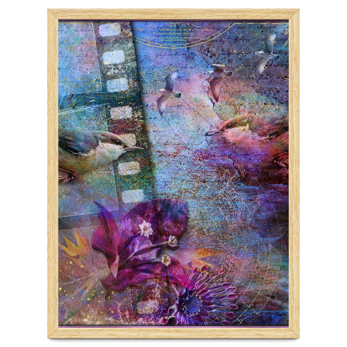 Watching the Wild World