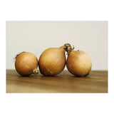 Onions (Print Only) thumbnail