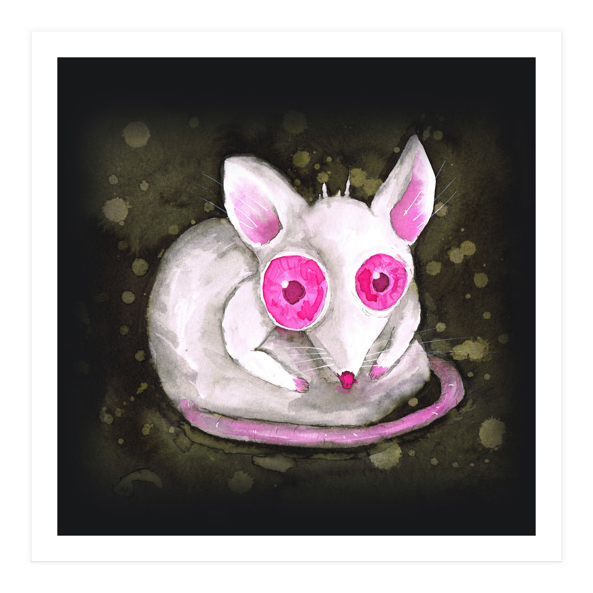 Albino rat (Print Only)