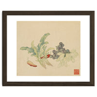 Wang Chengyu ~ Flowers And Vegetables, Vegetables, Fruits, Peppers, Millet Hot, Grapes, Spinach