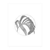 P.O. Blue Carbon (Print Only) thumbnail