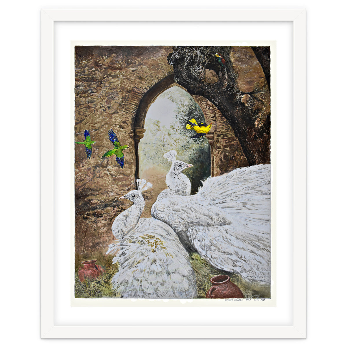 Portuguese Collection