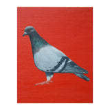 Pigeon (Print Only) thumbnail