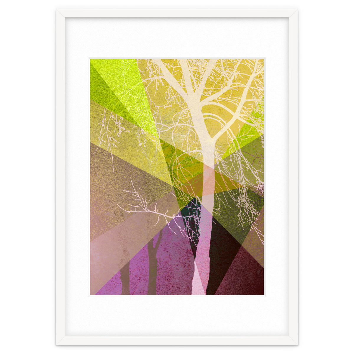 P22 A Trees And Triangles