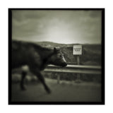 Struan Road (Print Only) thumbnail