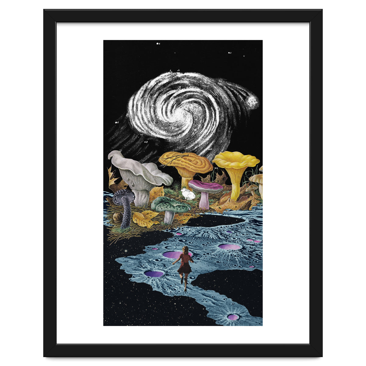 Follow The White Rabbit