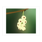 Cherry Blossom Art (Print Only) thumbnail