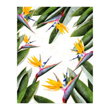 Bird Of Paradise (Print Only) thumbnail