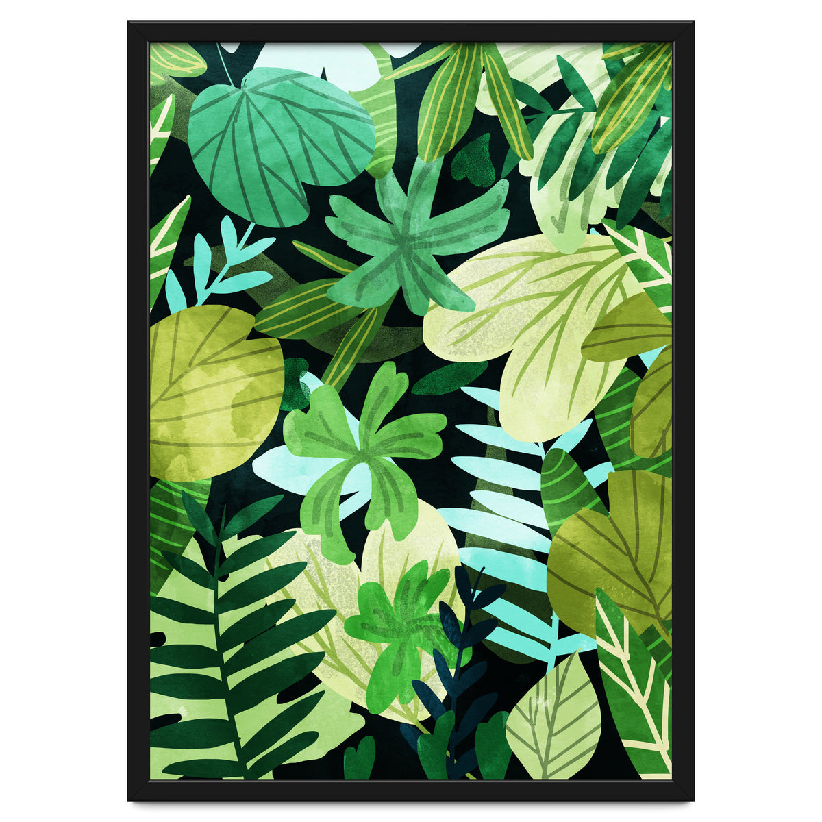 Rainforest Ii