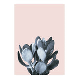 Cactus collection BL-II (Print Only) thumbnail