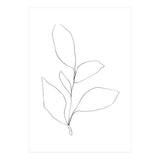 Five Leaf Plant (Print Only) thumbnail