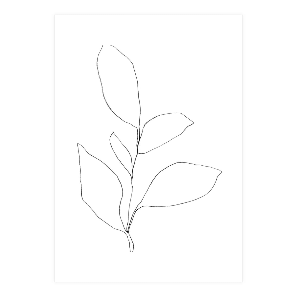 Five Leaf Plant (Print Only)