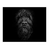 Ziggy Portrait No 2 (Print Only) thumbnail