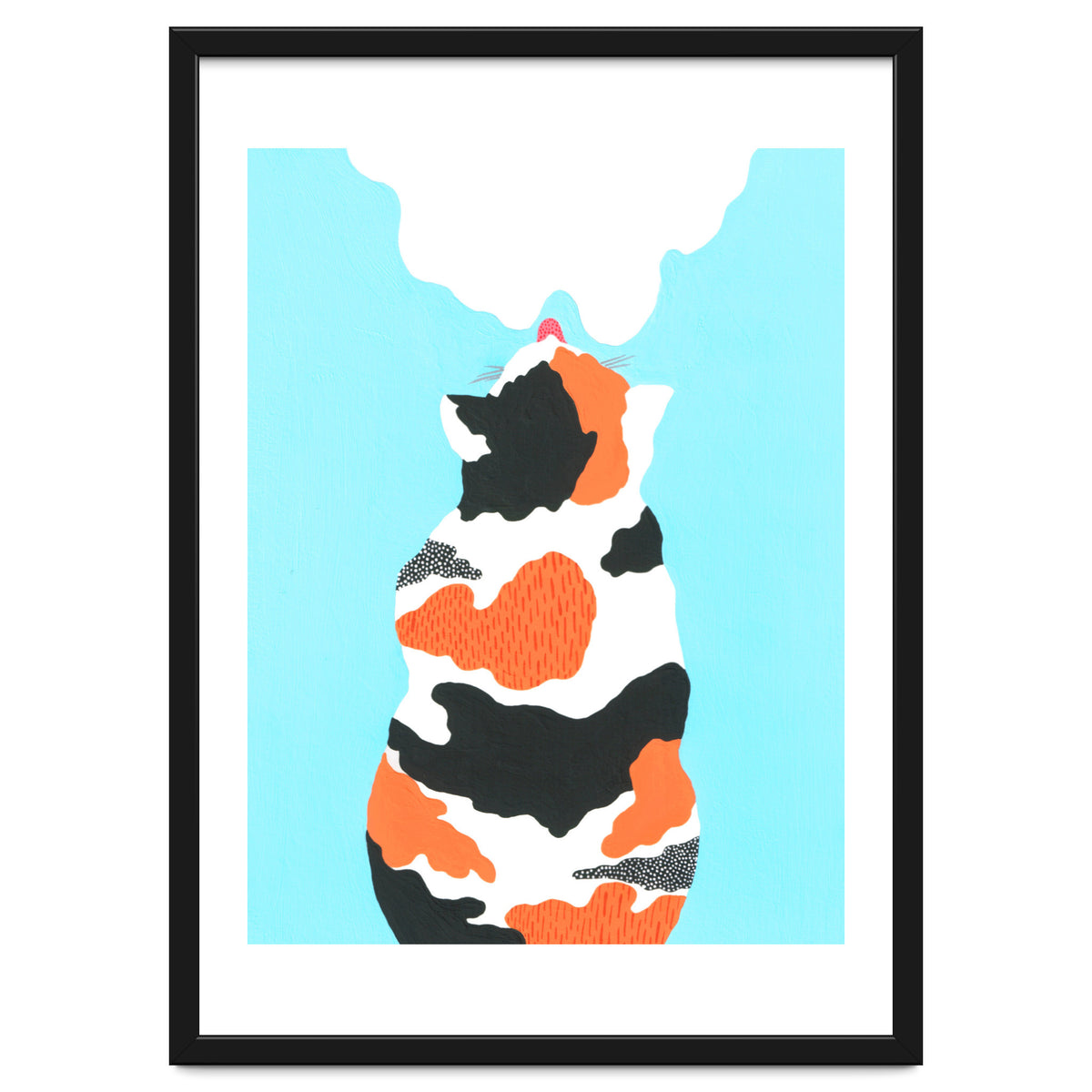 Tri Colored Calico Cat