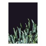 Dark Nature (Print Only) thumbnail