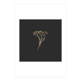 Gold Burst Botanicals - Square (Print Only) thumbnail