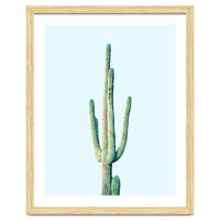 Loner Cactus