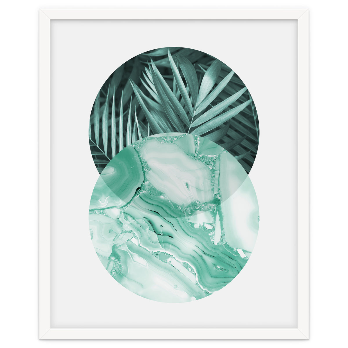 Botanical and geometric IV