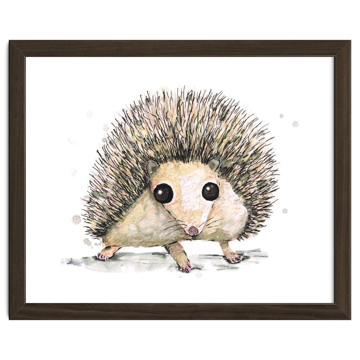 Hedgehog