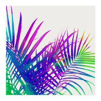 Colorful Palm (Print Only)