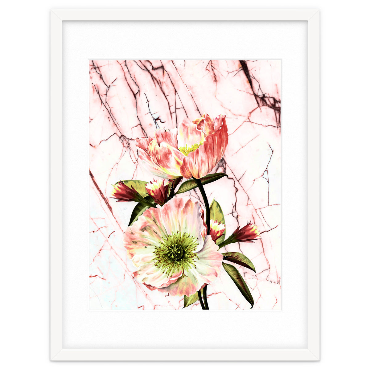 Flowering on pink marble