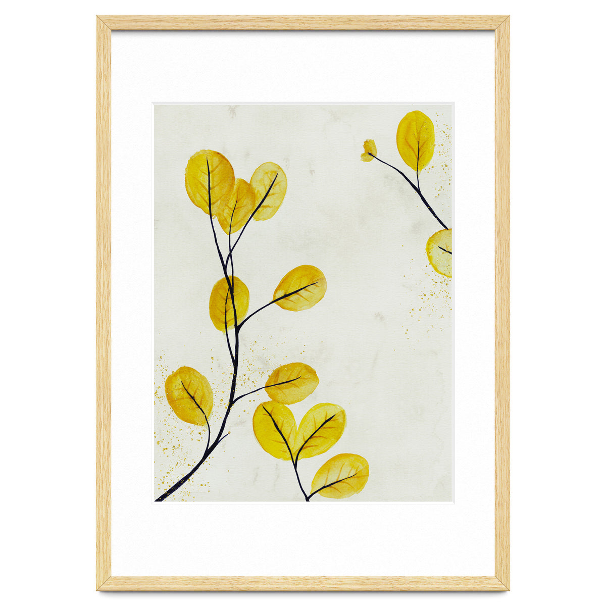 Golden birch leaves