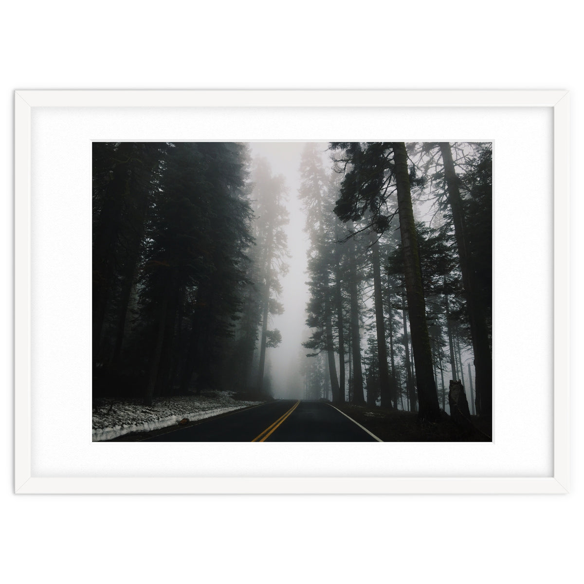 Foggy Yosemite