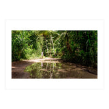 Haitian Bush (Print Only) thumbnail
