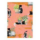 Cats & Plants (Print Only) thumbnail