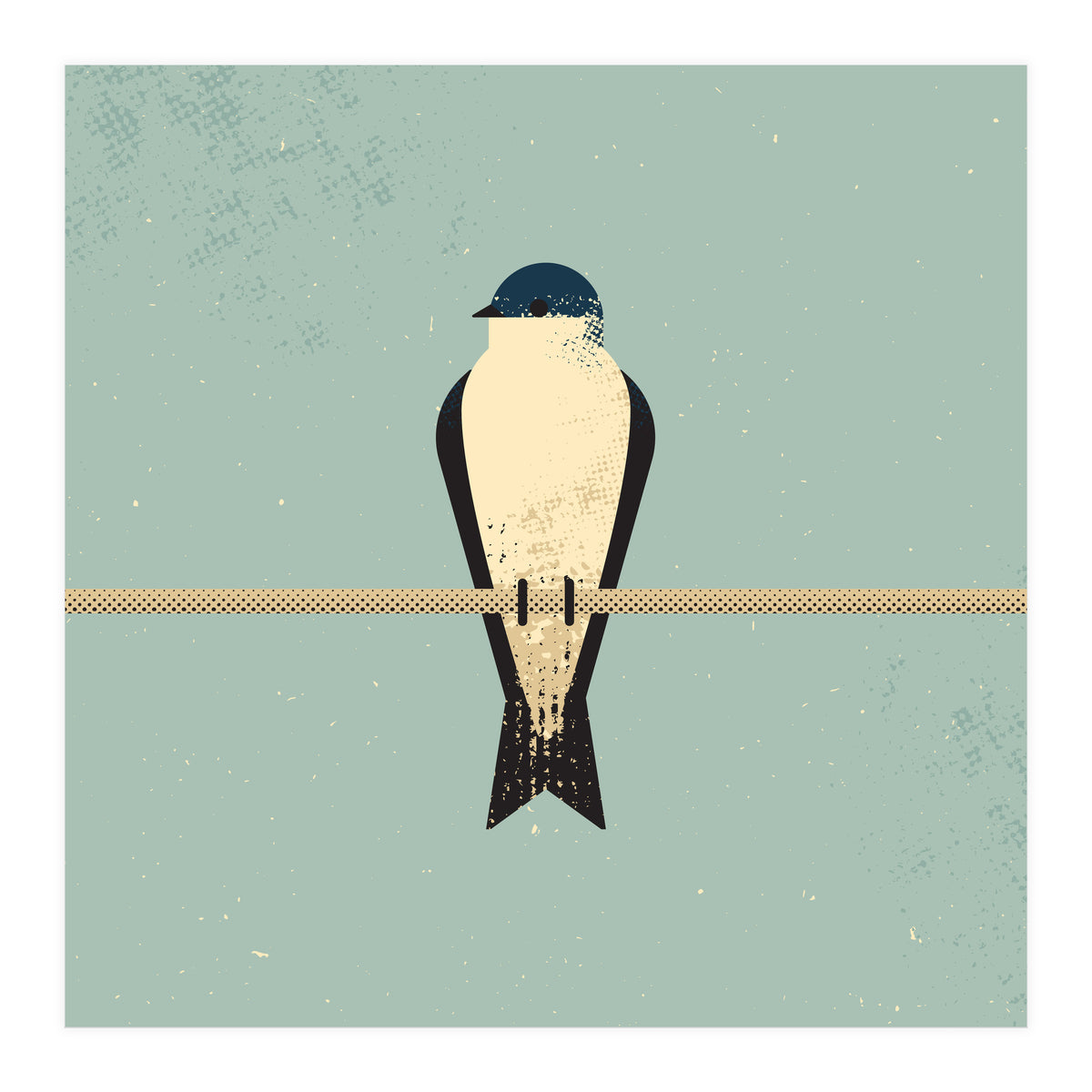 Swallow (Print Only)