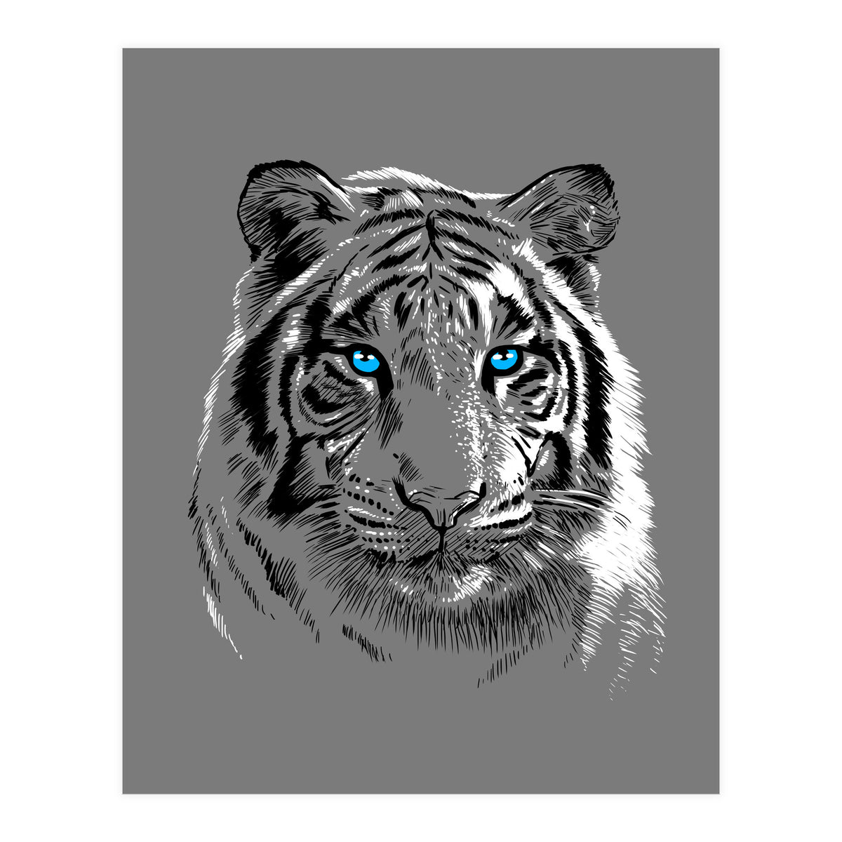 Sketch Tiger (Print Only)