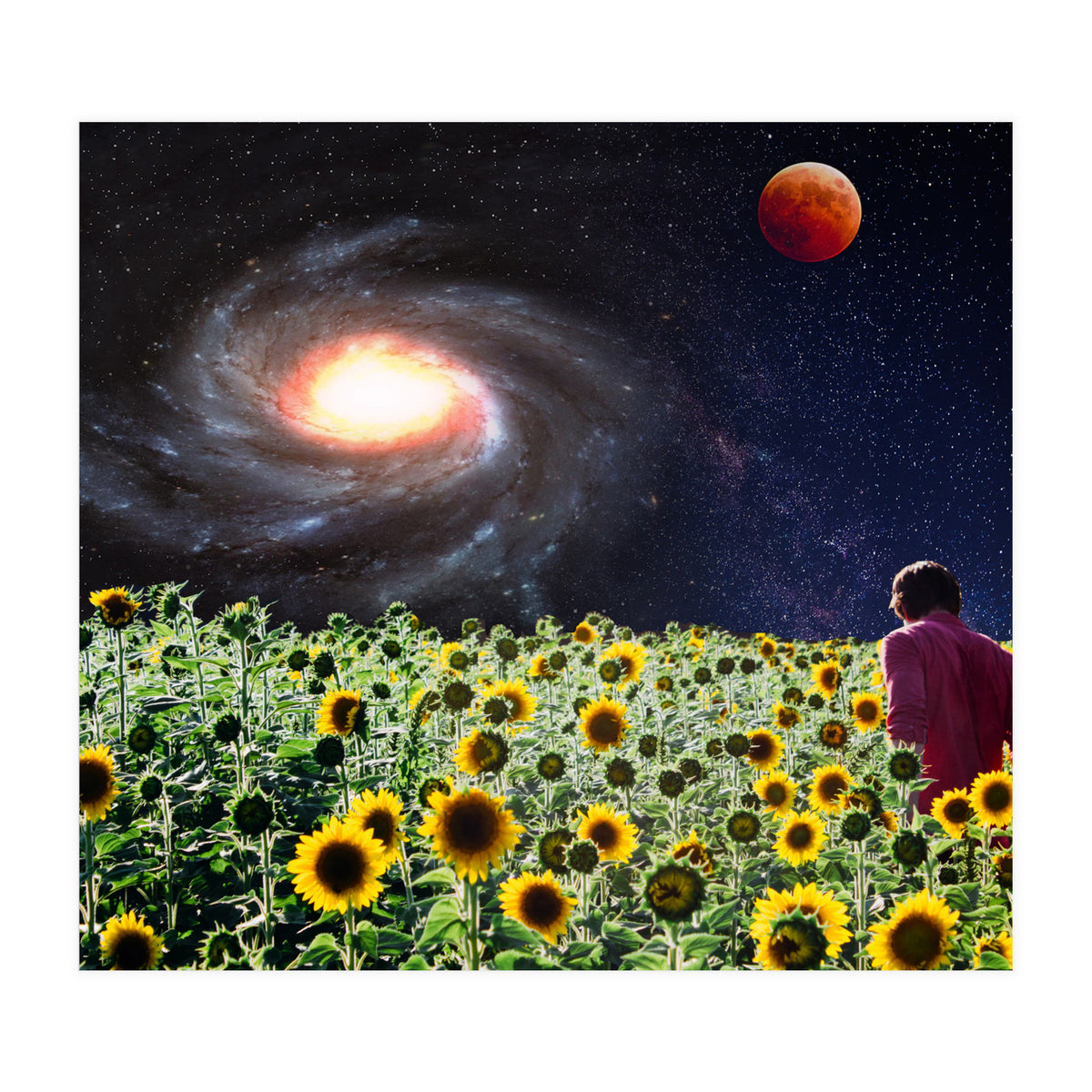 Likakiku  (Print Only)