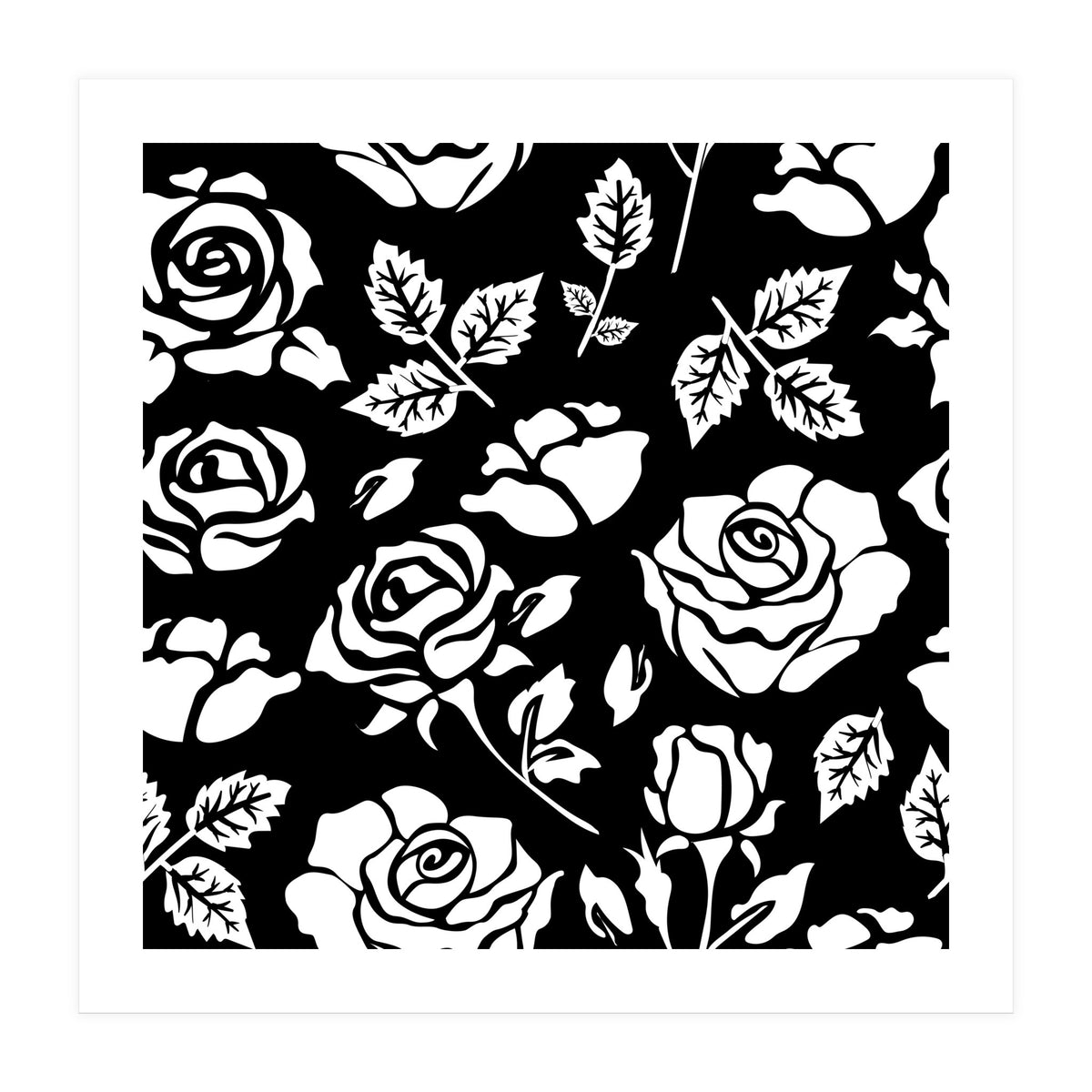 White Rose (Print Only)
