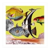 Plenty Of Fish In The Sea Yellow (Print Only) thumbnail