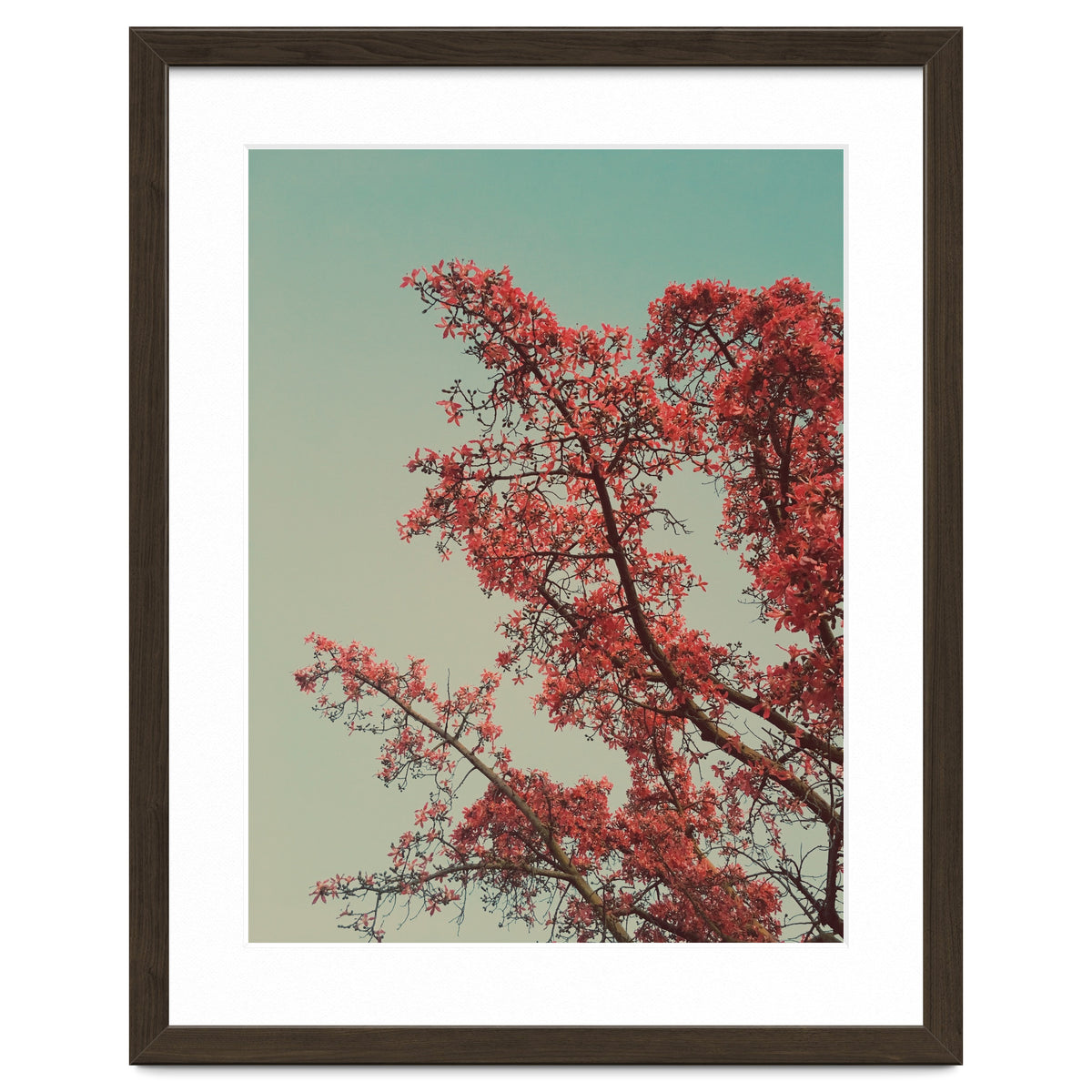 Red blossoms